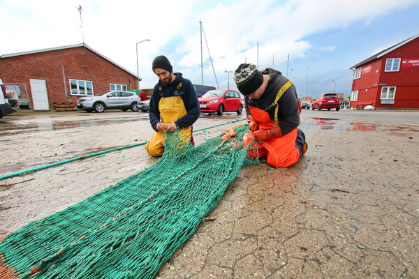 stephanie dalsø trawl repareres IMG_64840.JPG