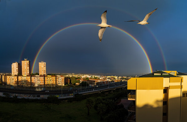 For Pierre Dumas - Ultra wide - Seagulls against the background of a double rainbow.jpg
