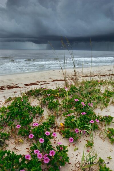 Beach-Storm