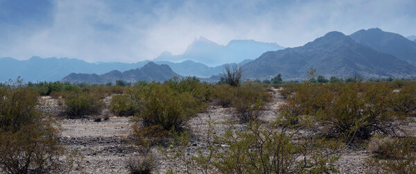 Desert Landscape-9.jpg
