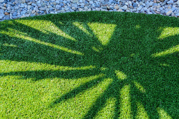 Lawn Shadow Forms