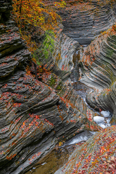 Colorful Gorge - Watkin's Glen