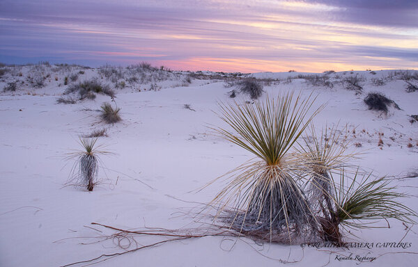 Desert Sunset - White Sands