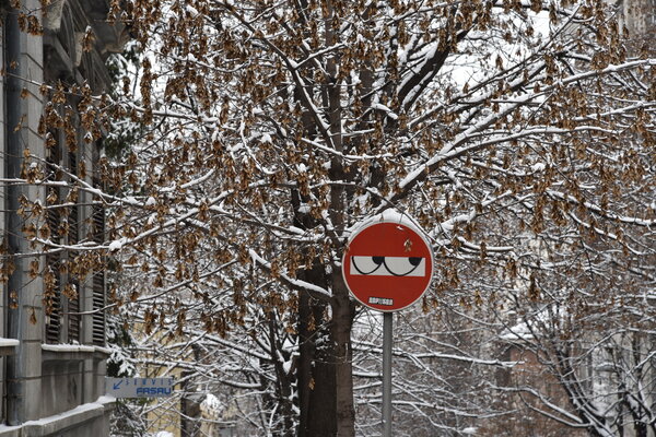 Winter day in Belgrade 17_01_21 (43).jpg